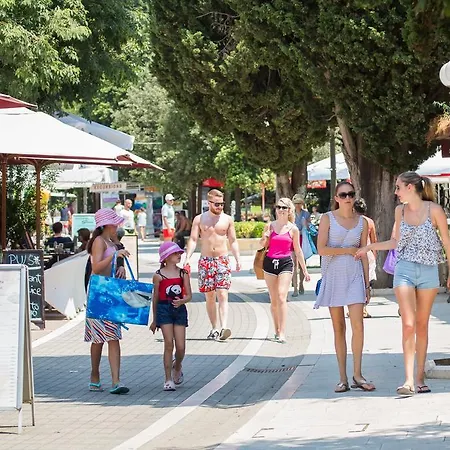 Cosmopolitan House دوبروفينك